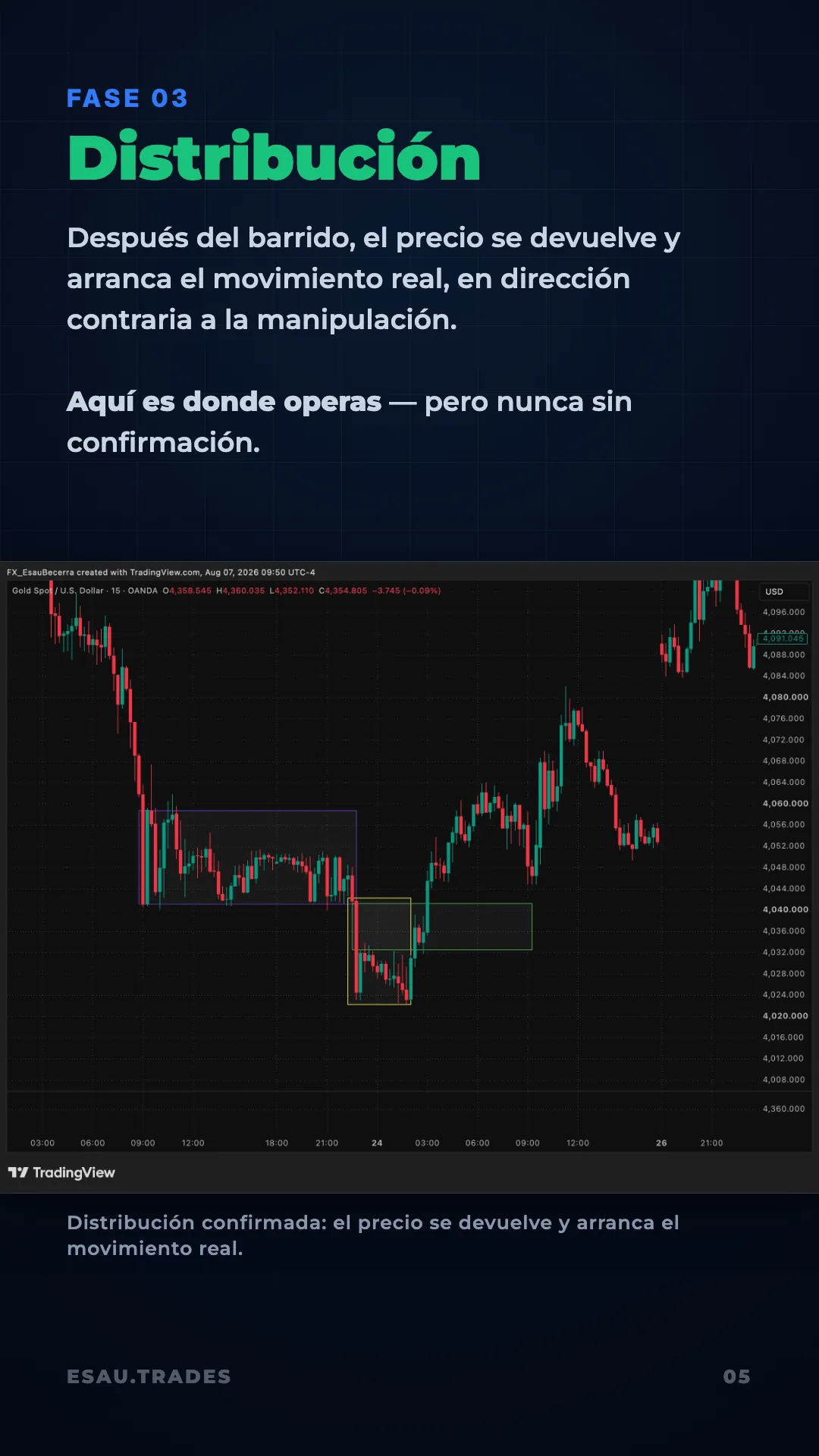 Guía AMD, página 6